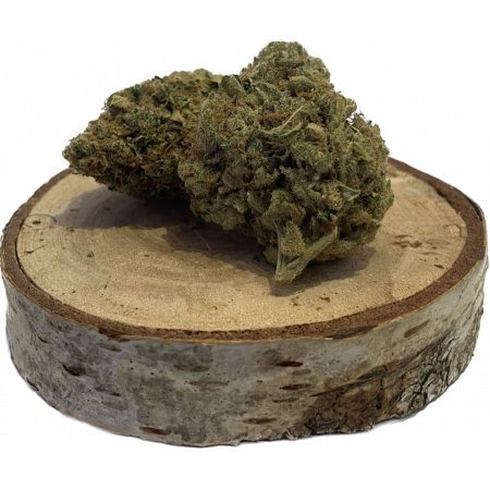 Amnésia haze cbd hydroponie