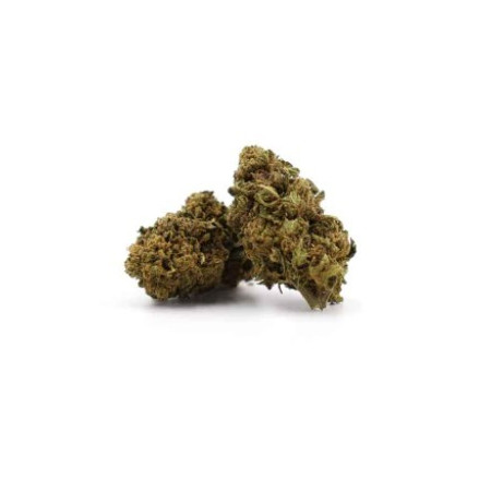 fleurs de cbd Jack herer
