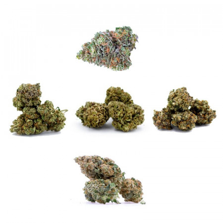 Pack découverte fleurs de cbd 50€ 10G