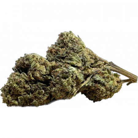 Bubble gum cbd terre