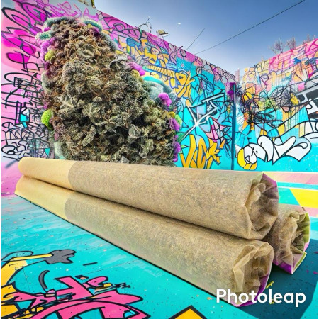 Cigarette pré roulées pre-rolls cbd