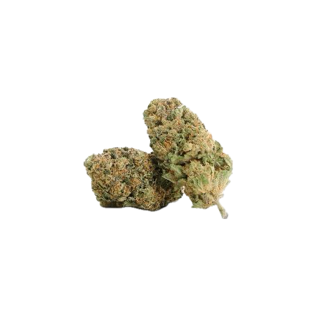 COOKIES DOUGHT 25% CBN+