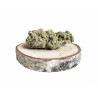 amnesia cbd