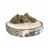 tropical haze cbd à partir de 5€
