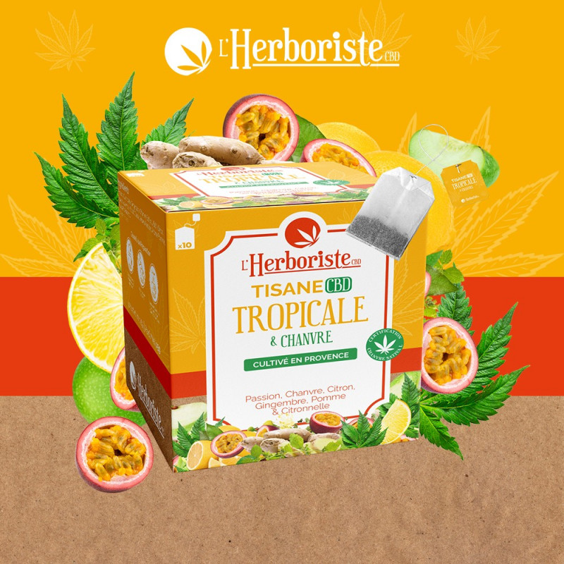 TYSANE CBD TROPICAL 10 SACHETTE