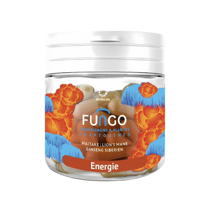 Gélules Énergie Fungo | Maitaké, Lion’s Mane & Ginseng Sibérien Gélules Énergie Fungo | Maitaké, Lion’s Mane & Ginseng Sibérien