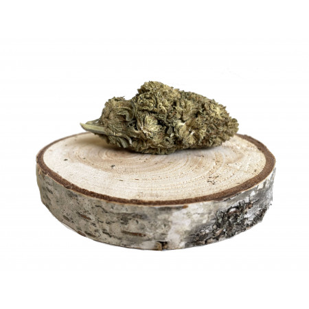 Og kush cbd à partir de 5€