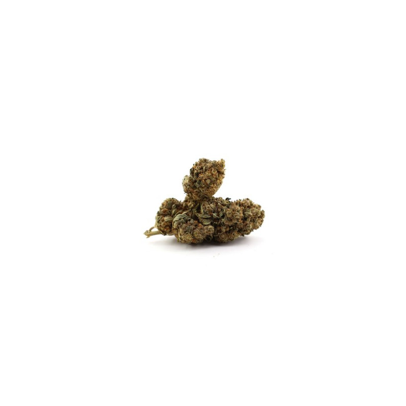 cookies kush