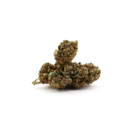 cookies kush