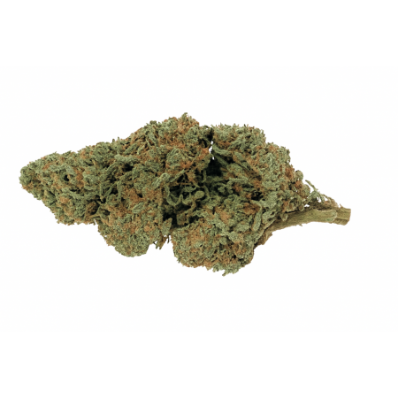 Fleur Kush H3 – Produit fort & psychotrope 22 % CBD ⚡️