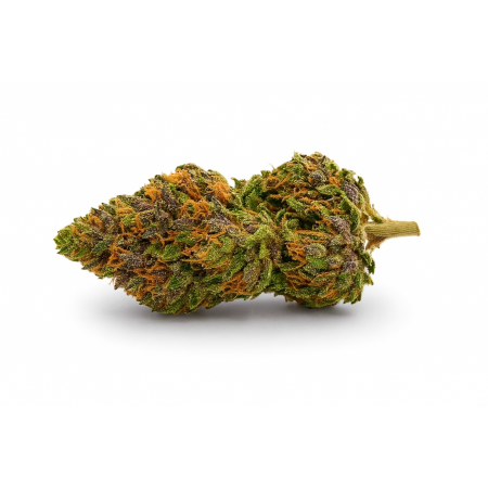 Fleur H3 Turbo Blue Zushi – 22 % CBD by Glass House 🔥