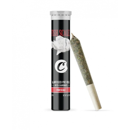 PREROLL Fish Scale CBD – Cookies