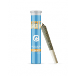. PREROLL Honey Bun Infused...