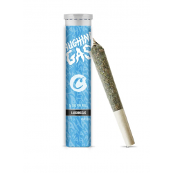 PREROLL Laughing Gas CBD –...