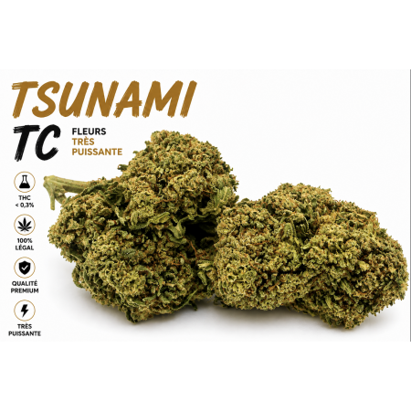 tsumami amnesia bigy us