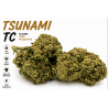 tsumami amnesia bigy us