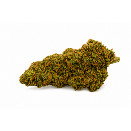 TSUNAMI TC RAINBOW Berry Puissante & Très Odorante Indoor Premium
