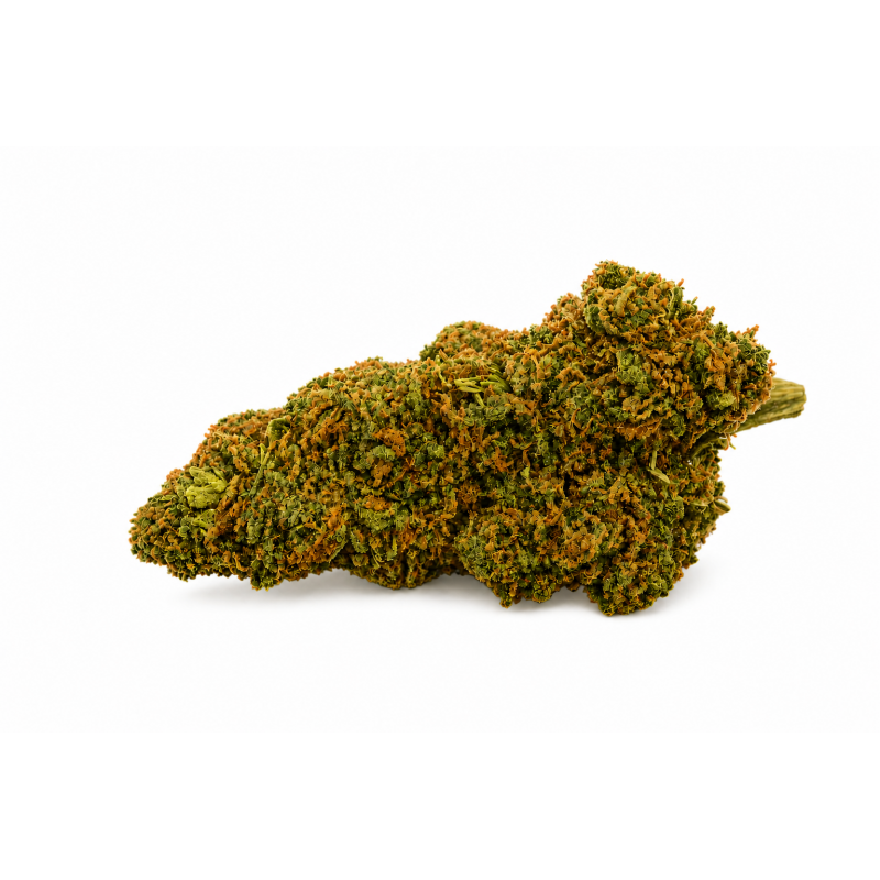 TSUNAMI TC RAINBOW Berry Puissante & Très Odorante Indoor Premium