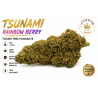 TSUNAMI TC RAINBOW Berry Puissante & Très Odorante Indoor Premium