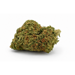 le club du cbd gagny