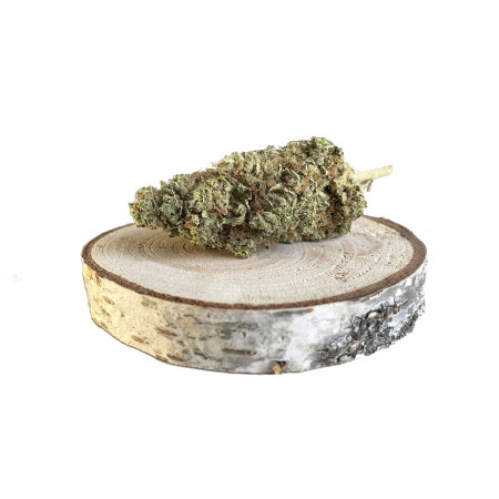 limoncello fleurs de cbd