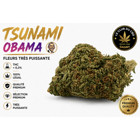 Fleur de CBD tsunami OBAMA Très Puissante