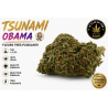 Fleur de CBD tsunami OBAMA Très Puissante