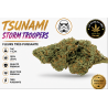 FLEUR TSUNAMI STORM TROOPERS – Produit fort & psychotrope 22 % CBD ⚡️