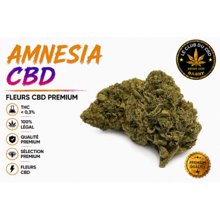Amnésia haze cbd hydroponie