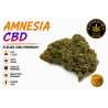 Amnésia haze cbd hydroponie
