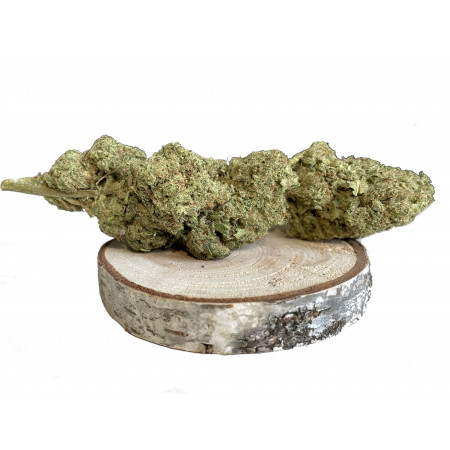 Gorilla glue cbd 20%