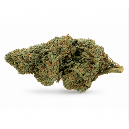 FLEUR TSUNAMI STORM TROOPERS – Produit fort & psychotrope 22 % CBD ⚡️