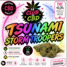le meilleur du cbd a gagny au club du cbd