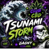 FLEUR TSUNAMI STORM TROOPERS – Produit fort & psychotrope 22 % CBD ⚡️