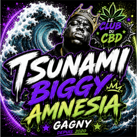 tsumami amnesia bigy us