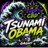 Fleur de CBD tsunami OBAMA Très Puissante