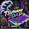Fleur tsunami zoap tres puissante🔥