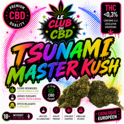 fleur tsunami