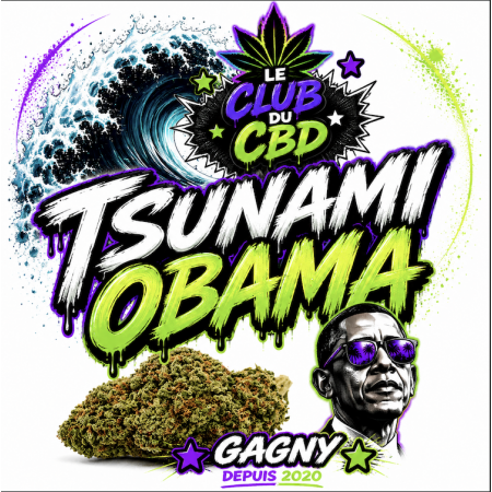 Fleur de CBD tsunami OBAMA Très Puissante