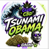 Fleur de CBD tsunami OBAMA Très Puissante