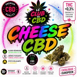 cheese cbd gagny