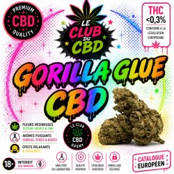 le gorilla villemomble