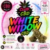 white cbd