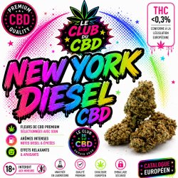 le club du cbd gagny