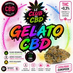gelato cbd