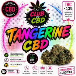 orange bud cbd gagny
