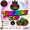 orange bud cbd gagny