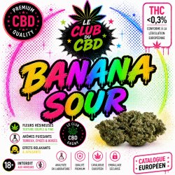 banana sour cbd