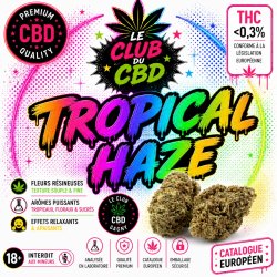 haze cbd livraison