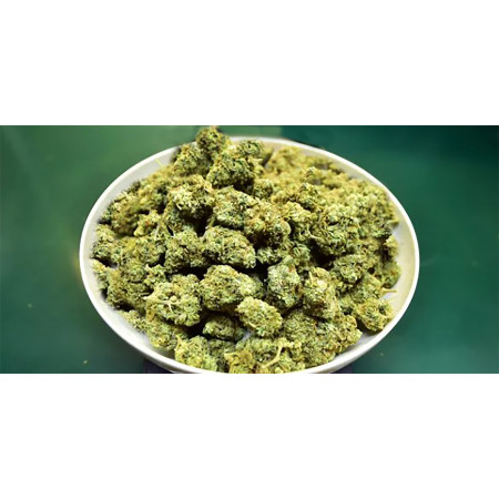 offre maxi découverte 18 variétés 20g